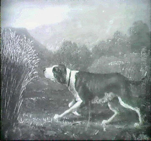 A Pointer In A Field - view 1