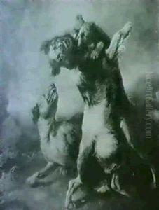 Fighting Dogs