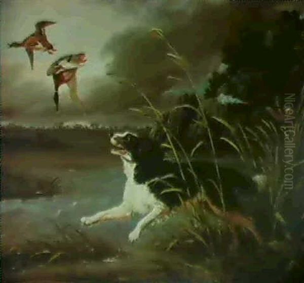 A Water Spaniel Putting Up Duck - view 1