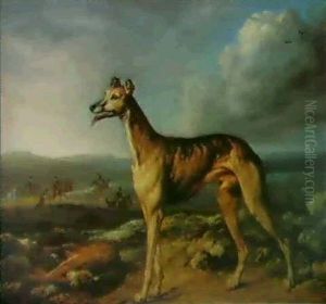 Portrait Of Major A Celebrated Greyhound