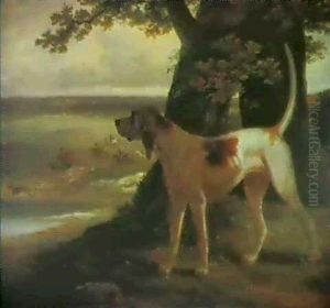 A Stag Hound Of The Royal Pack Under A Tree At Windsor