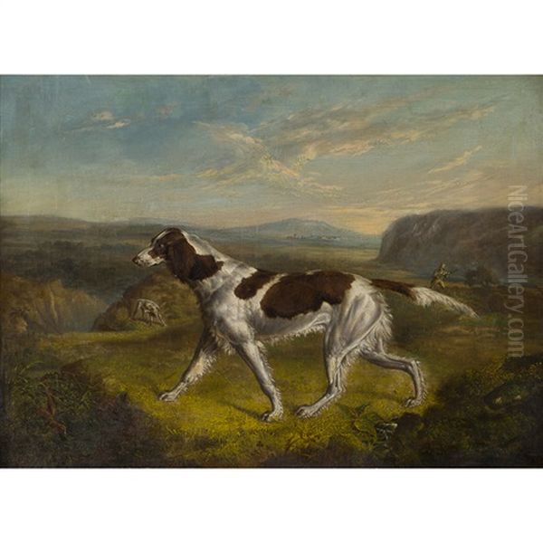 Pointer On A Grouse Moor - view 1