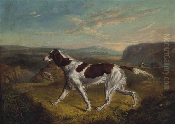 Pointer On A Grouse Moor - view 1