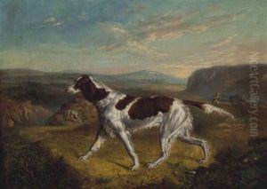 Pointer On A Grouse Moor