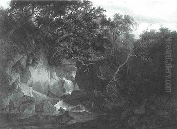 A Waterfall In The Wood - view 1