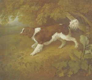 A Spaniel In A Wooded Landscape A Spaniel In A Wooded Landscape