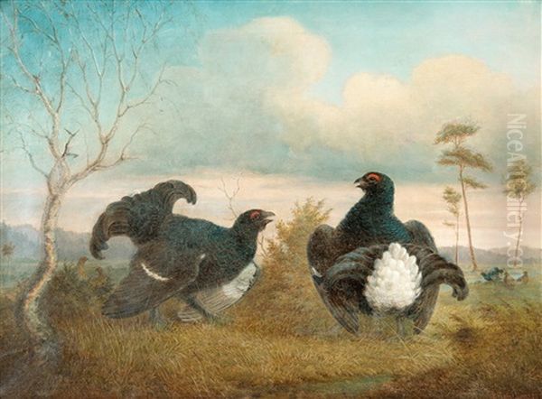 Mating - view 1