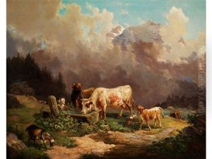 Vieh Im Hochgebirge An Der Tranke