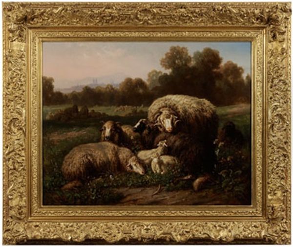 Resting Sheep - view 1