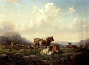 Weidende Viehherde Im Gebirge Weidende Viehherde Im Gebirge