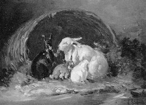 Hasenfamilie Vor Einem Umgesturzten Futterkorb