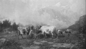 Rinder In Gebirge