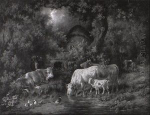 Kuhe Und Enten An Einem Kleinen Wasser Im Wald Kuhe Und Enten An Einem Kleinen Wasser Im Wald