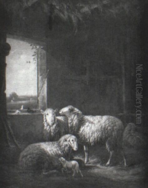 Sheep Resting In A Barn - view 1