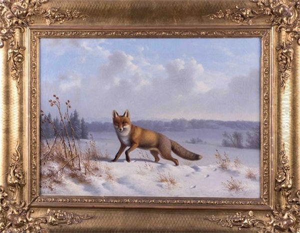 Fuchs In Winterlandschaft - view 1