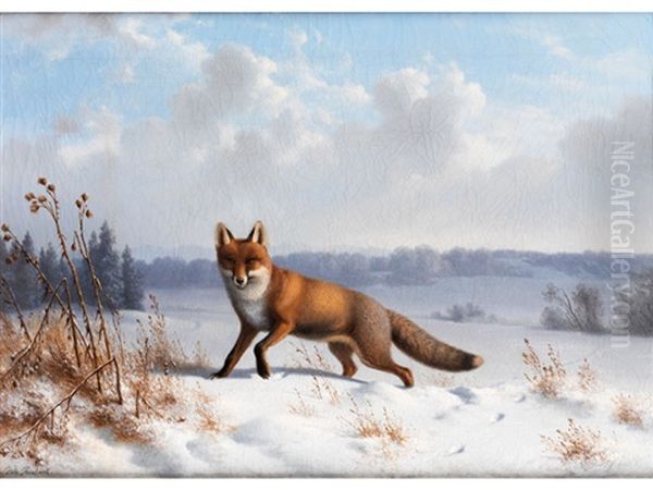 Fuchs In Winterlandschaft - view 1
