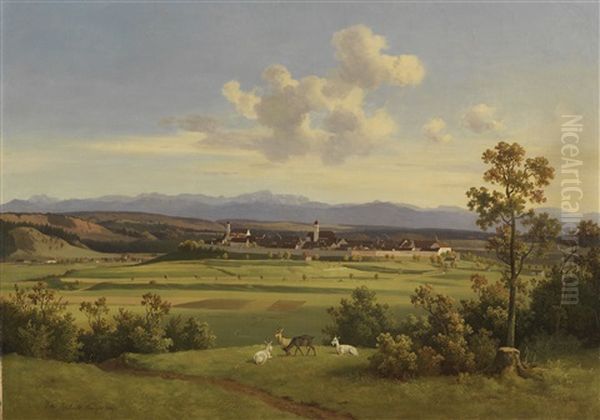 Blick Auf Schongau Und Die Alpen - view 1