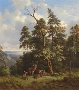 Rotwild Auf Lichtung