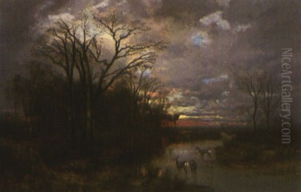 Abendliche Moorlandschaft Mit Rehen An Der Tranke - view 1