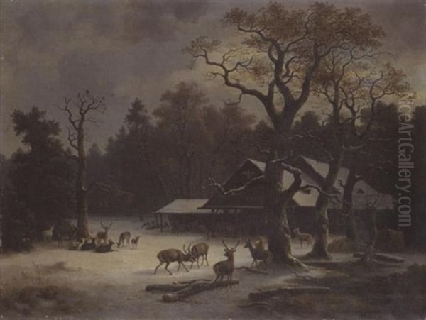 Wildfutterung - view 1