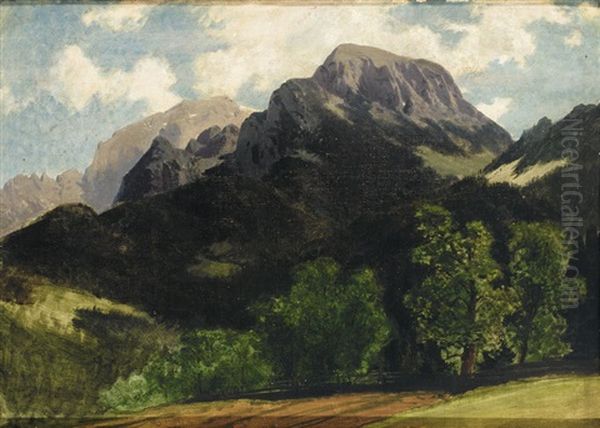 Sommerliche Gebirgslandschaft - view 1