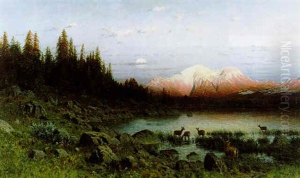 Rotwild Am Seeufer - view 1