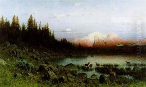 Rotwild Am Seeufer by Ernst Otto Reiniger