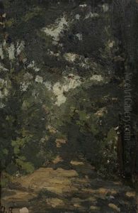 Waldweg Waldweg
