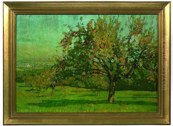 Sommerliche Streuobstwiese, Im Hintergrund Weiter Blick Ins Tal - view 1
