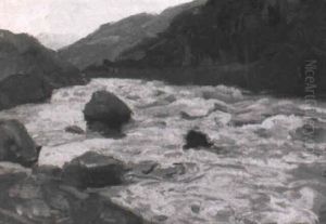 Tosender Wildbach Nach Der Schneeschmelze