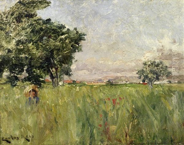 Paisagem Campestre - view 1