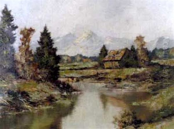 Moor Altwasser Bei Bad Kohlgrub - view 1
