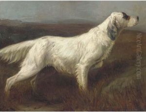 Patti Of Gerwn, An English Setter by Rose D. Bonnor