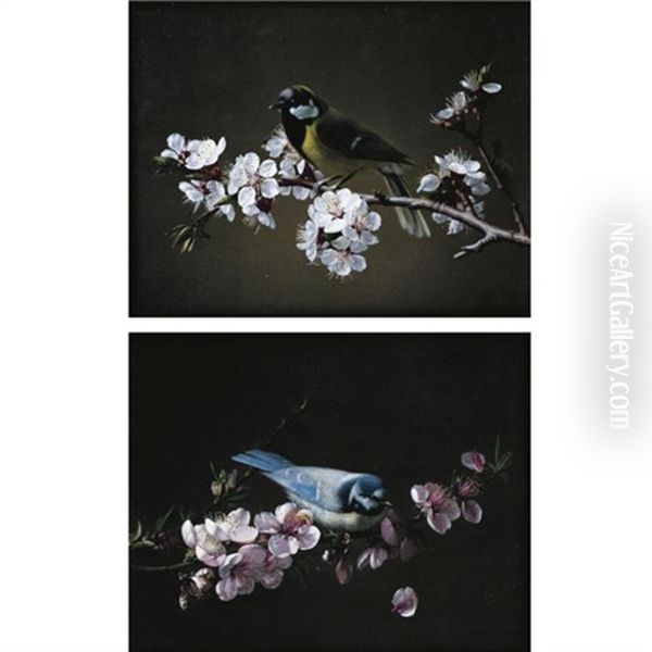 Blue Tit On A Branch Of Plum Tree In Bloom (+ Great Tit On A Branch Of Cherry Tree; Pair) - view 1