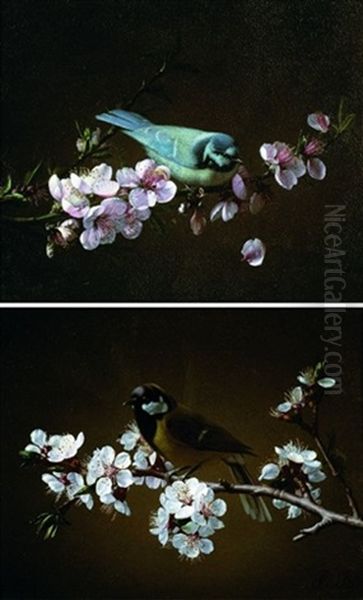 Mesange Charbonniere Sur Une Branche De Cerisier En Fleurs (+ Mesange Bleue Sur Une Branche; 2 Works) - view 1