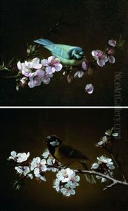 Mesange Charbonniere Sur Une Branche De Cerisier En Fleurs (+ Mesange Bleue Sur Une Branche; 2 Works) Mesange Charbonniere Sur Une Branche De Cerisier En Fleurs (+ Mesange Bleue Sur Une Branche; 2 Works)
