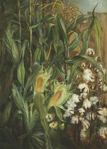 The Two Kings: Corn And Cotton