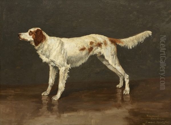 Portrait Of An English Setter - view 1