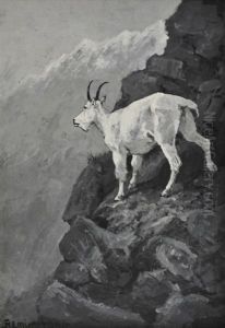 The White Goat At Home (mountain Goat On A Rocky Ledge; Rocky Mountain Goat) by Frederic Remington