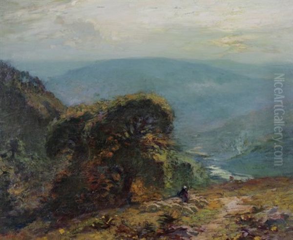 Mountain Path - view 1