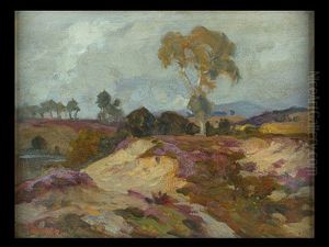 Landschaft Mit Heidekraut