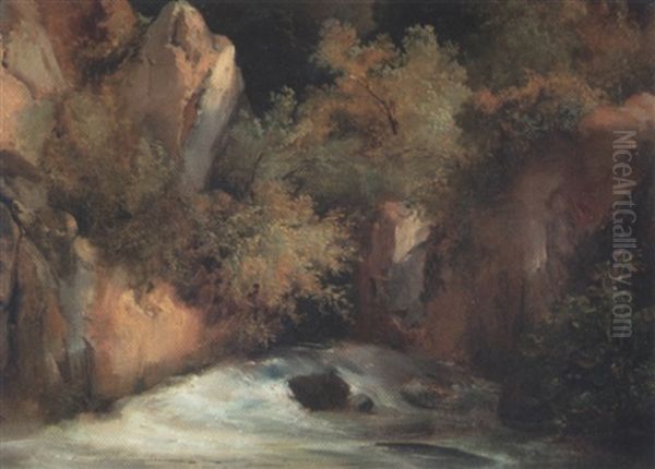 Torrent Avec Des Rochers, Les Gorges De La Cere, Cantal - view 1