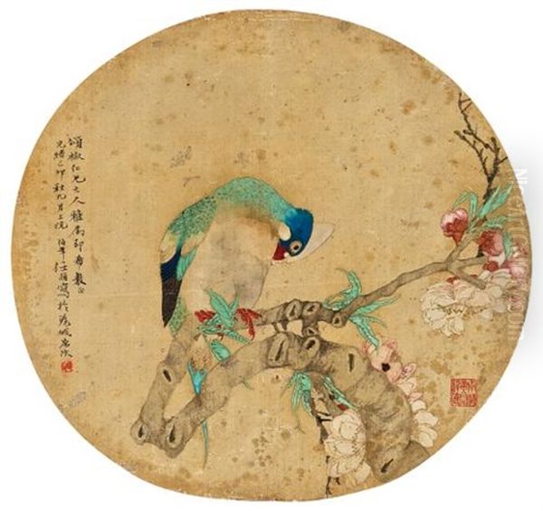 Parrot - view 1