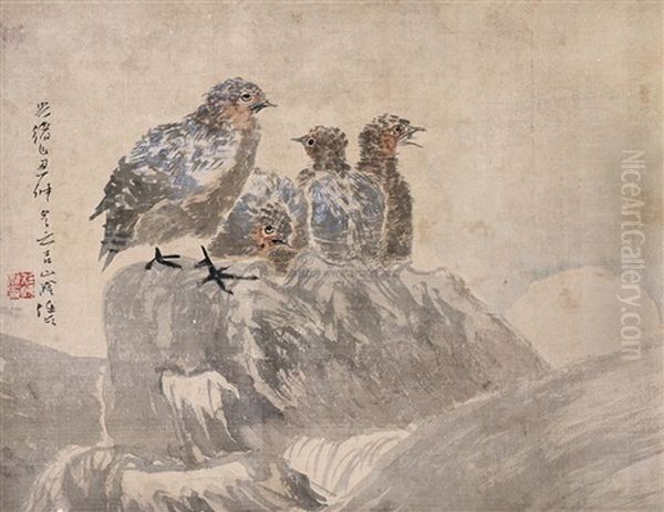 Birds - view 1