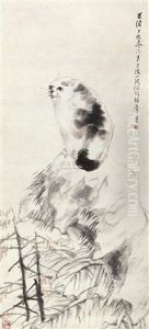 Cat Cat