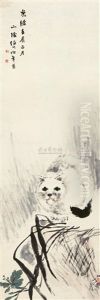 Cat by Ren Bonian