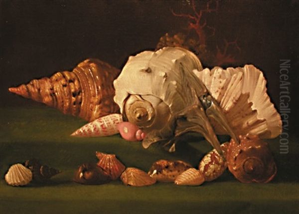 Nature Morte Aux Coquillages - view 1
