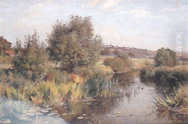 Les Bords De La Sarre A Bouzonville - view 1