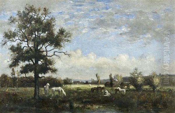 Chenes Vernicules Avec Des Chevaux Paturant - view 1
