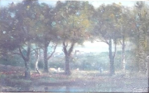 Paysage - view 1